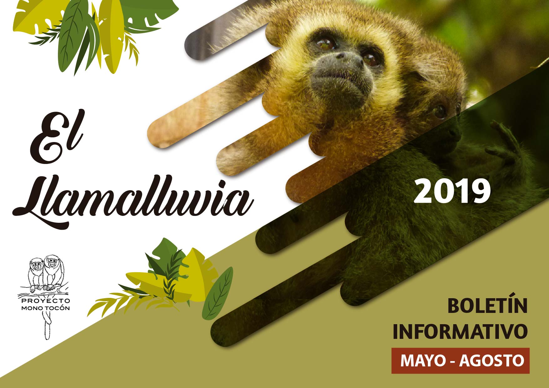Boletín Llamalluvia II 2019
